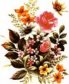 fleurs et nature (86)